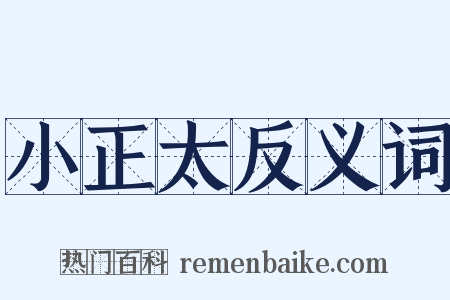 小正太反义词是什么意思的图片